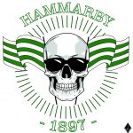 Hammarby_Skull